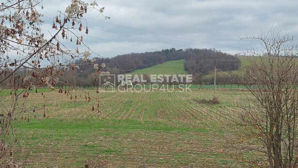 POZEMOK - BELUŠA: 13.-€/m2