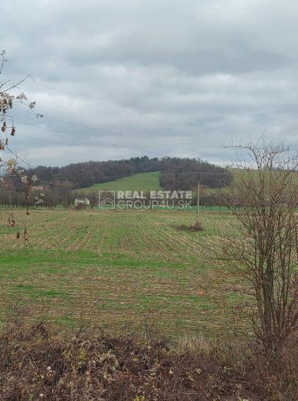 POZEMOK - BELUŠA: 13.-€/m2