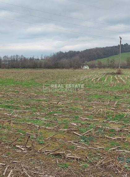 POZEMOK - BELUŠA: 13.-€/m2