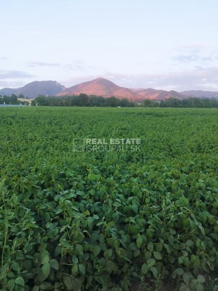 PREDAJ – POZEMOK V OBCI KONSKÁ 55 000,-€