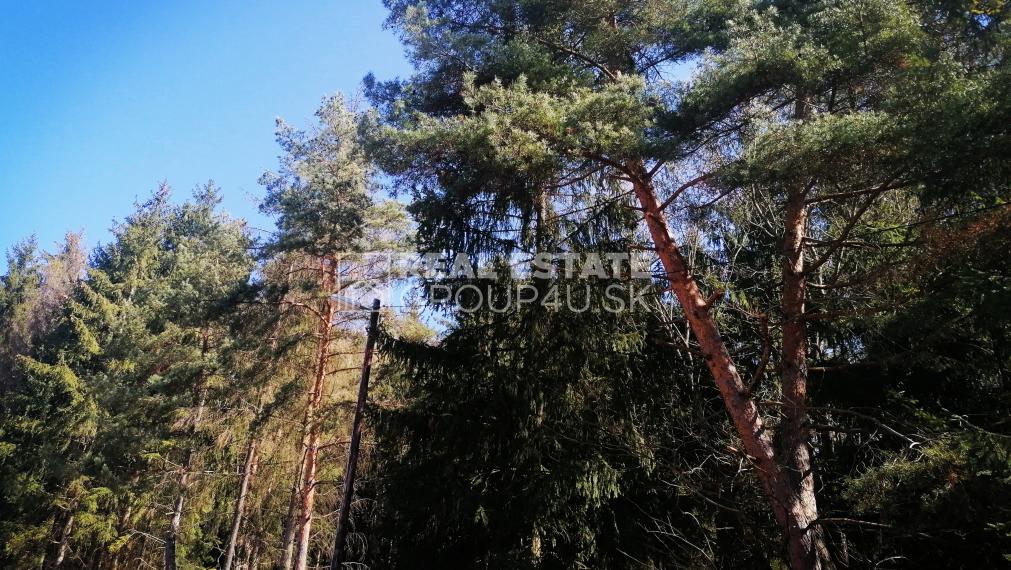 LUKRATÍVNY POZEMOK S MODERNÝM DOMOM NA KĽÚČ A STAVEBNÝM POVOLENÍM