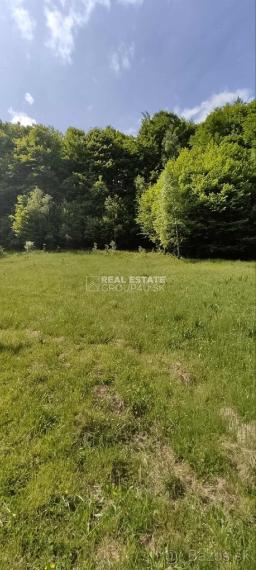 POZEMOK NA SAMOTE S VÝSTAVBOU RD NA KĽÚČ- VEĽKÉ ROVNÉ