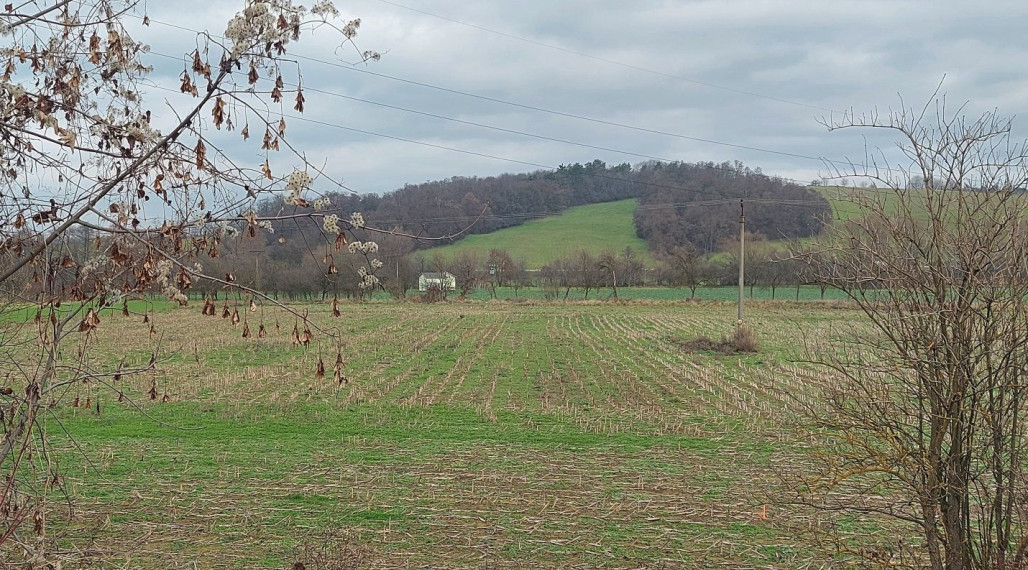 POZEMOK - BELUŠA: 13.-€/m2