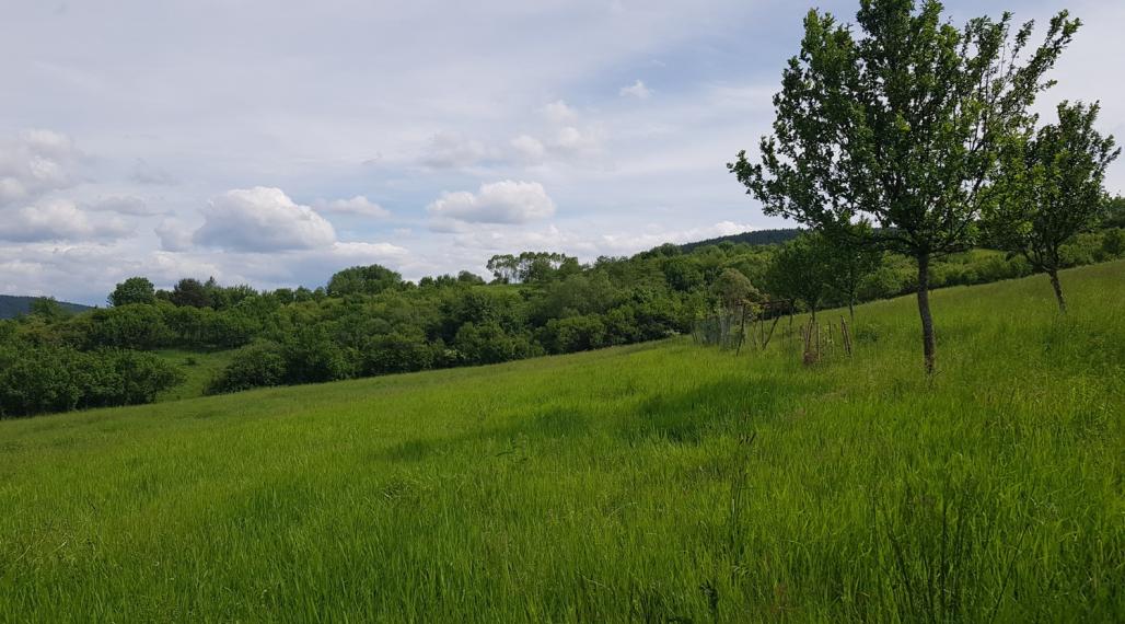 PREDAJ - POZEMOK V PAPRADNE S KRÁSNYMI VÝHĽADMI