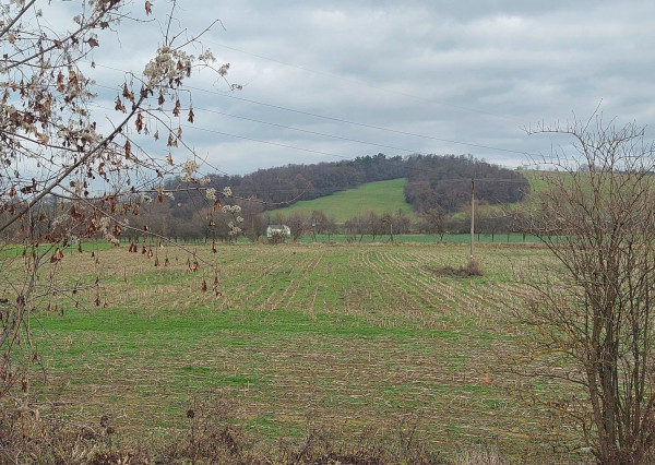 POZEMOK - BELUŠA: 13.-€/m2