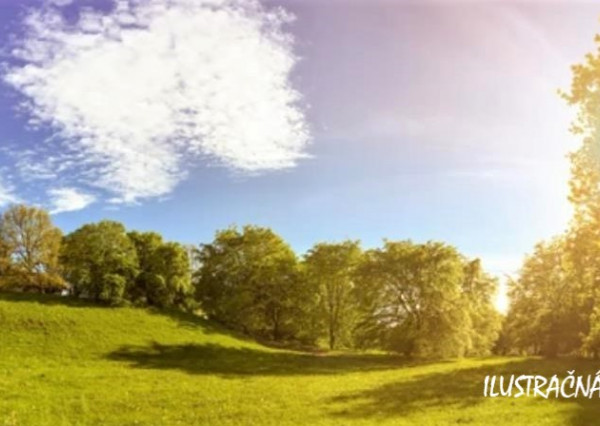 PREDAJ - POZEMOK PLEVNÍK DRIEŇOVÉ