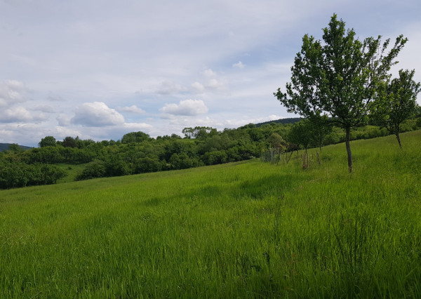 PREDAJ - POZEMOK V PAPRADNE S KRÁSNYMI VÝHĽADMI